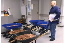 Trả thuế ô tô bằng 5 xe tiền xu, lộ lý do bất ngờ