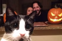 Phát điên với kẻ phá đám bất đắc dĩ khi bạn chụp ảnh