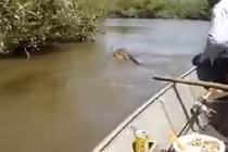 “Nín thở” xem màn bắt trăn “khủng” bằng tay không 