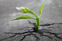 Những bức ảnh giúp bạn không bao giờ cảm thấy tuyệt vọng