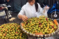 Những loại hoa quả Trung Quốc giả hàng "made in Việt Nam"