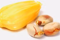 Gái già sẽ trẻ như thiếu nữ nhờ thứ hạt vứt đi này