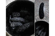 Cười ngất với gái vụng luộc ngô... cháy đen thành than