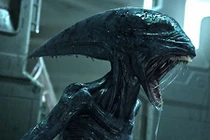 Âm thanh rợn người bí ẩn vang lên trong đêm ở Anh