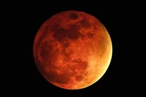 Phát hiện giun bò trườn nhung nhúc trên Sao Hỏa?