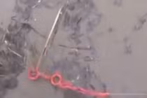 Thót tim cảnh người phụ nữ ôm khúc gỗ giữa nước lũ