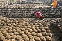 Món chả làm từ phân bò bán “đắt như tôm tươi” tại Ấn Độ