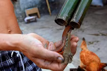 Nghề bắt lươn đồng ở xứ Nghệ