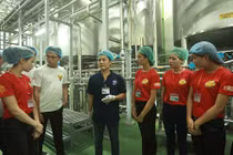 Top 25 thí sinh Hoa khôi sinh viên Hà Nội thăm nhà máy Number 1 Hà Nam