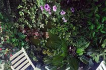 Cận cảnh căn hộ sang trọng của gia đình MC Phan Anh