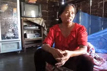 Kỳ án cái chuồng heo và hai con heo nái