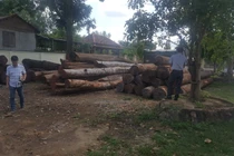 Khởi tố 24 bị can liên quan đến trùm gỗ lậu Phượng “râu”