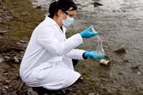 7 loại “việc nhàn lương cao” cho người không thích ganh đua