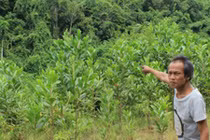 Phát hãi chuyện hành hình những cặp đôi “ăn cơm trước kẻng”