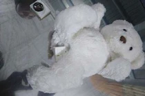 Hoảng hồn, mất ăn mất ngủ với thú bông gắn chíp của Trung Quốc