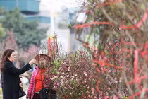 Ngày tốt xuất hành, khai trương Tết Đinh Dậu 2017 