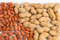 Những người tuyệt đối không nên ăn củ lạc