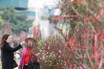 Ngày tốt xuất hành, khai trương Tết Đinh Dậu 2017 