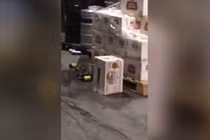 Hài hước xem cảnh chồn say rượu