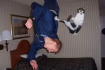 Sững sờ với khoảnh khắc tình cờ đến không ngờ 