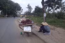 Sự thật về nho Ninh Thuận siêu rẻ 25.000 đồng/kg