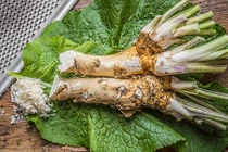 10 loại thảo mộc mạnh hơn cả thuốc kháng sinh