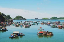 Ly kỳ cuộc chiến với “quái vật khổng lồ” ở đảo Cát Bà