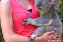 “Bắt quả tang” những “anh chàng”... háo sắc đến khó tin