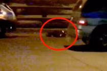 Đứng tim người phụ nữ đột nhiên sống dậy sau 1 giờ tử vong