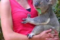 “Bắt quả tang” những “anh chàng”... háo sắc đến khó tin