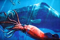 Lý giải về các “quái vật” huyền thoại