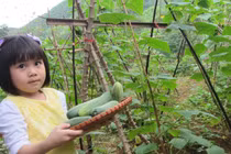 Một ngày làm nông dân siêu sướng ở trang trại ngoại ô