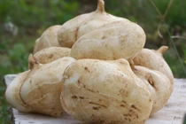 Bao nhiêu mụn cũng bay biến nếu thoa củ quả này lên mặt 