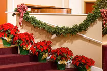 Mẹo phong thủy nhà ở cho mùa Noel an lành, sung túc