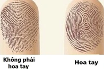 Bạn có bao nhiêu hoa tay, biết ngay “định mệnh” của mình