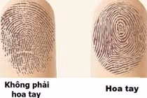 Bạn có bao nhiêu hoa tay, biết ngay “định mệnh” của mình