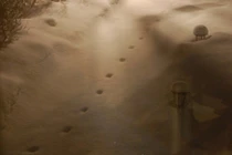 5 sự kiện “bí ẩn rùng rợn” đến nay vẫn chưa có lời giải