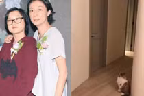 Hậu tự tử, con gái Thành Long chưa chịu về nhà