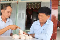 Tiền Giang: Trưởng phòng bị kỷ luật khiển trách vì trộm trứng vịt