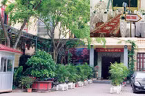 Bảo tàng Lịch sử Quốc gia thành tổ hợp nhà hàng, tiệc cưới