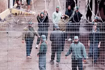 Nơi đền tội của những tội phạm nguy hiểm ở xứ sở chuột túi