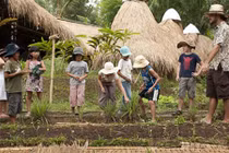 Ngắm ngôi trường độc đáo nhất từng được Tổng thư ký LHQ ghé thăm