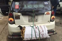 Xem những hình ảnh này mới thấy Tết đã đến thật rồi