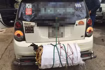 Xem những hình ảnh này mới thấy Tết đã đến thật rồi