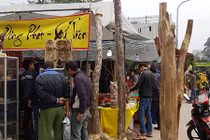 Khách chơi xuân nô nức ngắm loài cây quý như vàng