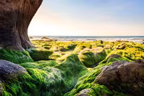 Những trải nghiệm biển thú vị ở Việt Nam