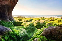 Những trải nghiệm biển thú vị ở Việt Nam