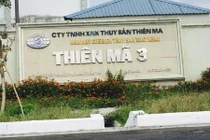 Chuyện chưa biết về vụ án đại gia thủy sản Tòng “Thiên Mã” 