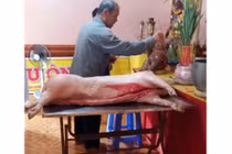 Đem nguyên con lợn sống vào chùa cúng Phật, rồi xẻ thịt nấu cỗ