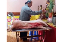 Đem nguyên con lợn sống vào chùa cúng Phật, rồi xẻ thịt nấu cỗ